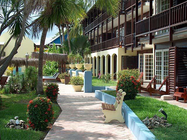 Curacao scuba diving, Curacao snorkeling, Curacao, Curacao diving, Lions Dive Resort, Lion's Dive Hotel, Lions Dive & Beach Resort