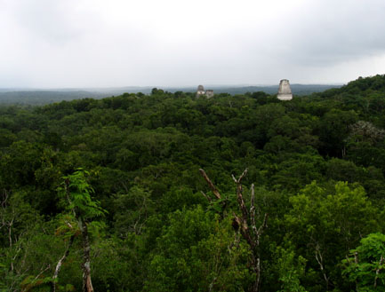 Belize eco-tour, Belize eco-tours, Belize vacation, Belize vacations, Belize honeymoon, Tikal Ruins