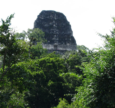 Tikal Ruins, Mayan temples, Mayan ruins, Belize eco-tour, Belize eco-tours, Belize vacation