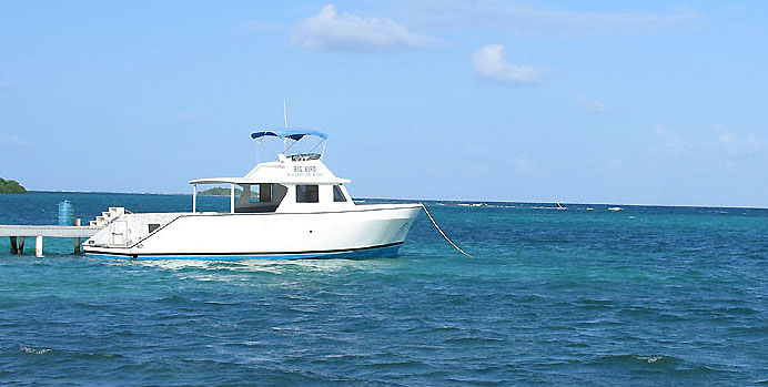 Blackbird Caye Resort, Belize diving, Belize dive vacations, Belize snorkeling, Belize scuba diving