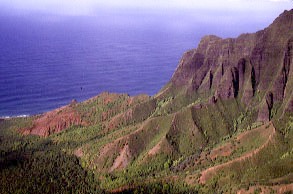 Kauai diving, Kauai snorkeling, Kauai scuba diving, Kauai vacation, Kauai resorts, Kauai Sands, Bubbles Below, Bubbles Below Diving, Hawaii diving