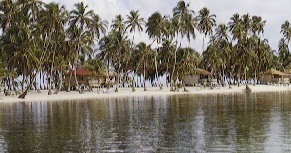 Blackbird Caye Resort, Belize diving, Belize dive vacations, Belize snorkeling, Belize snorkeling vacations, Belize scuba diving