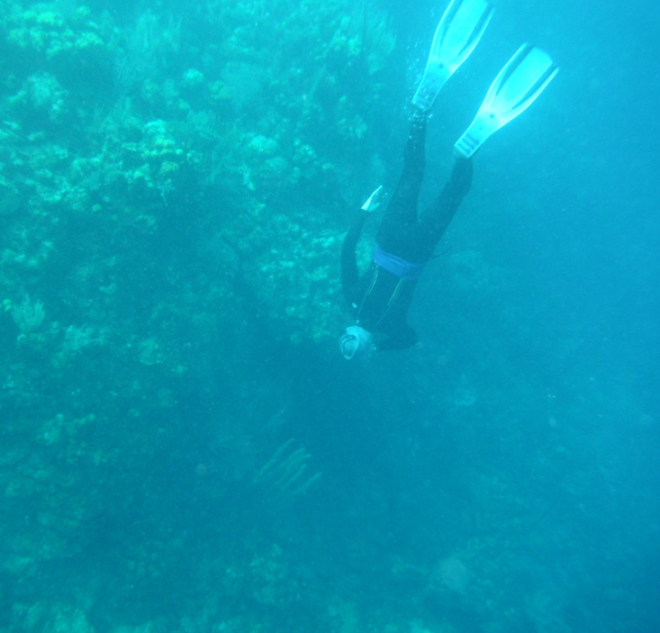 Dunbar Rock, Villa at Dunbar Rock, Dunbar Villa, Honduras diving, Guanaja diving, Guanaja snorkeling, Honduras snorkeling, Honduras vacation