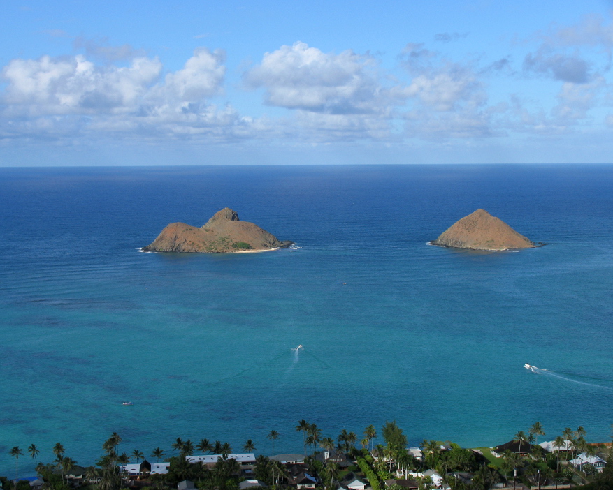 Susan & John Hessburg run the U.S. DIVE TRAVEL Network from windward Oahu island for part of each summer.