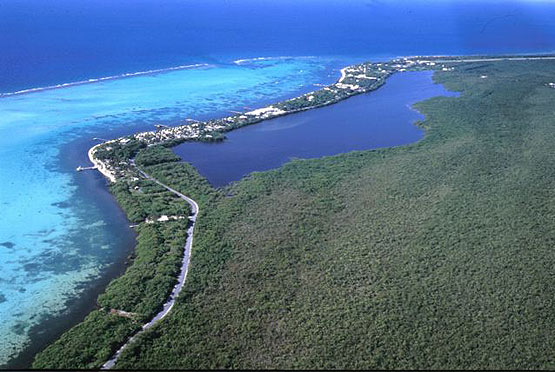 Little Cayman, Bloody Bay Wall, Little Cayman Beach Resort, Cayman Brac, Brac Reef Beach Resort, Cayman Islands, Little Cayman diving, Cayman diving, Cayman Islands vacation, Cayman Islands resorts