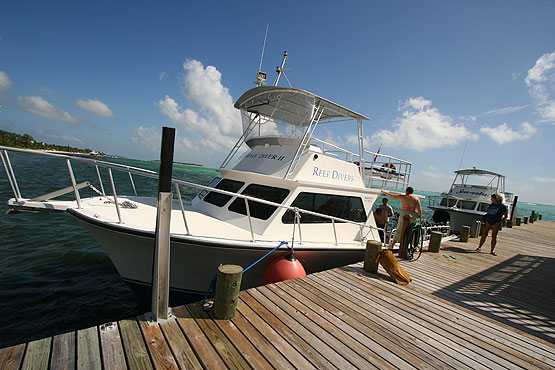 Little Cayman, Bloody Bay Wall, Little Cayman Beach Resort, Cayman Brac, Brac Reef Beach Resort, Cayman Islands, Little Cayman diving, Cayman diving, Cayman Islands vacation, Cayman Islands resorts