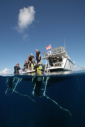 Little Cayman, Bloody Bay Wall, Little Cayman Beach Resort, Cayman Brac, Brac Reef Beach Resort, Cayman Islands, Little Cayman diving, Cayman diving, Cayman Islands vacation, Cayman Islands resorts