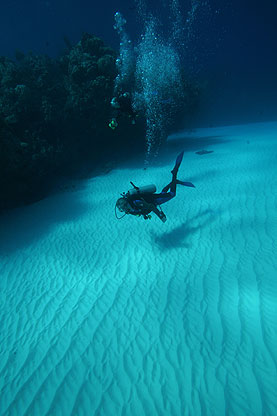 Little Cayman, Bloody Bay Wall, Little Cayman Beach Resort, Cayman Brac, Brac Reef Beach Resort, Cayman Islands, Little Cayman diving, Cayman diving, Cayman Islands vacation, Cayman Islands resorts