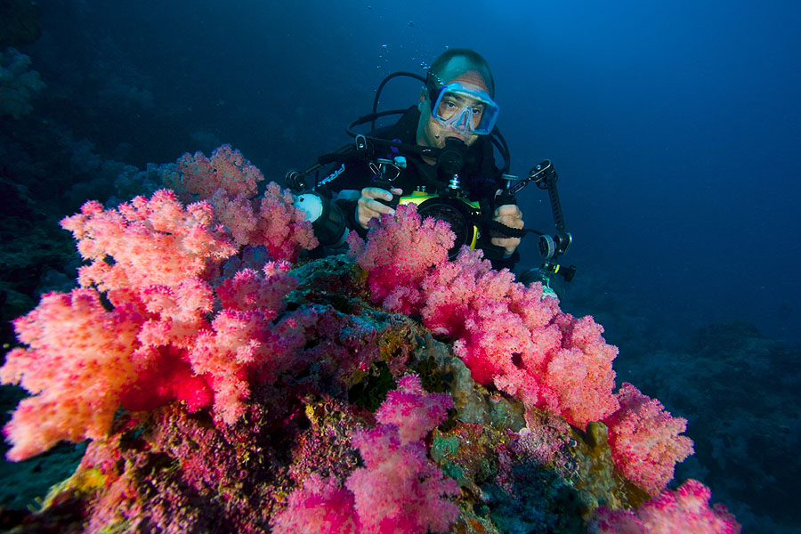 Yap, Yap dive vacation, Yap vacation, Yap diving, Yap scuba diving, Yap resorts, Manta Ray Bay, Manta Ray Bay Hotel, manta rays