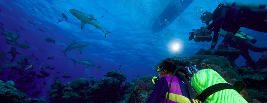 Yap, Yap dive vacation, Yap vacation, Yap diving, Yap scuba diving, Yap resorts, Manta Ray Bay, Manta Ray Bay Hotel, manta rays