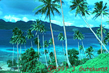 Matangi Island Resort, Matangi Island, Matagi Island, Matagi Island Resort, Fiji diving, Fiji scuba diving, Fiji snorkeling, Fiji vacations, Fiji vacation, Fiji Islands