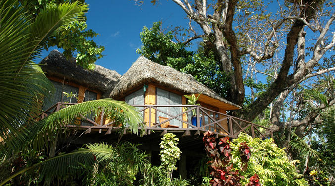 Matangi Island Resort, Matangi Island, Matagi Island Resort, Fiji diving, Fiji scuba diving, Fiji snorkeling, Fiji vacations, Fiji vacation, Fiji Islands