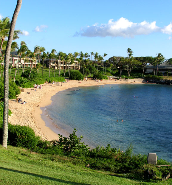 Maui diving, Lanai diving, Maui bed & breakfast, Maui snorkeling, Maui vacations, Lahaina Divers, Maui honeymoon