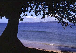 Matangi Private Island Resort, Matangi Island, Matagi Island, Matagi Island Resort, Fiji diving, Fiji scuba diving, Fiji snorkeling, Fiji vacations, Fiji vacation, Fiji Islands