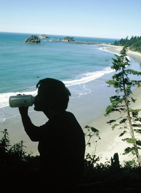 hiking Washington wilderness coast, Washington State Pacific beaches, hiking Washington's west coast beaches, hiking Washington State's Pacific shoreline, Quileute Indians, Makah Indians, First Beach, Second Beach, Third Beach, Neah Bay, Cape Alava, Ozette, Hoh River, Shi Shi Beach, Point of the Arches, John Hessburg, Robert Buffington Shaw, Bonz