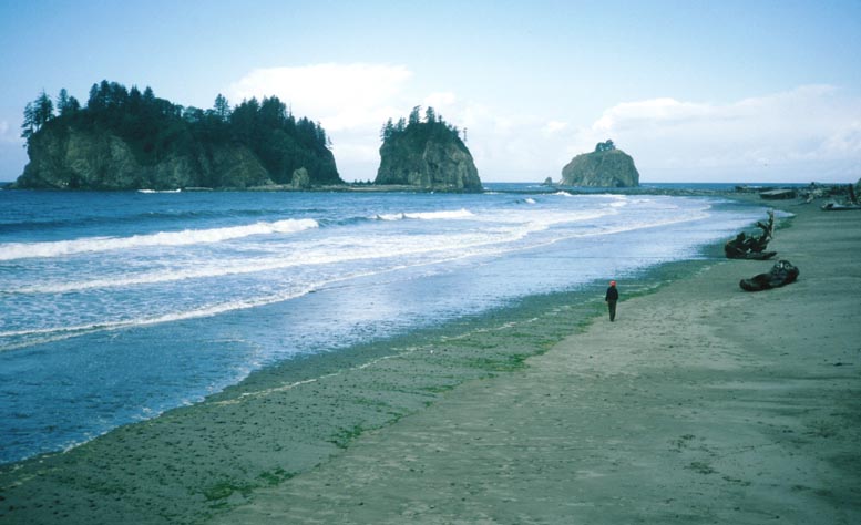 hiking Washington wilderness coast, Washington State Pacific beaches, hiking Washington's west coast beaches, hiking Washington State's Pacific shoreline, Quileute Indians, Makah Indians, First Beach, Second Beach, Third Beach, Neah Bay, Cape Alava, Ozette, Hoh River, Shi Shi Beach, Point of the Arches, John Hessburg, Robert Buffington Shaw, Bonz