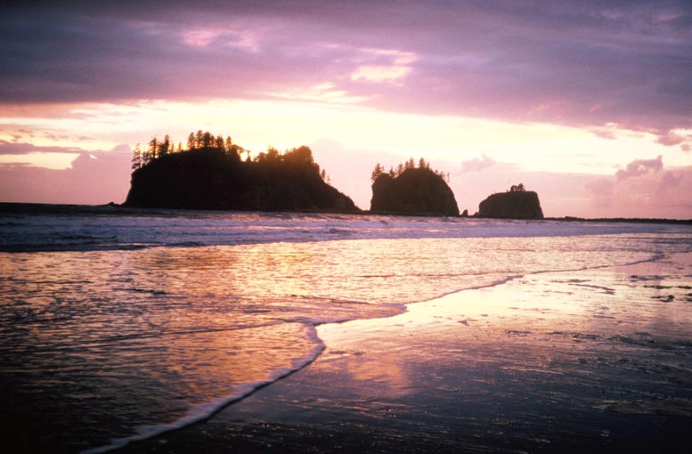 hiking Washington wilderness coast, Washington State Pacific beaches, hiking Washington's west coast beaches, hiking Washington State's Pacific shoreline, Quileute Indians, Makah Indians, First Beach, Second Beach, Third Beach, Neah Bay, Cape Alava, Ozette, Hoh River, Shi Shi Beach, Point of the Arches, John Hessburg, Robert Buffington Shaw, Bonz