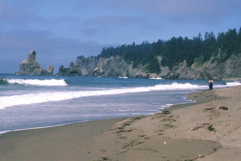 hiking Washington wilderness coast, Washington State Pacific beaches, hiking Washington's west coast beaches, hiking Washington State's Pacific shoreline, Quileute Indians, Makah Indians, First Beach, Second Beach, Third Beach, Neah Bay, Cape Alava, Ozette, Hoh River, Shi Shi Beach, Point of the Arches, John Hessburg, Robert Buffington Shaw, Bonz