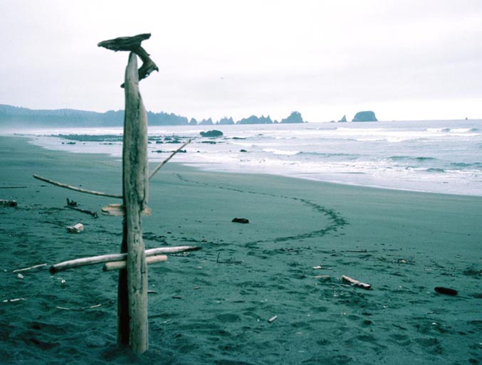hiking Washington wilderness coast, Washington State Pacific beaches, hiking Washington's west coast beaches, hiking Washington State's Pacific shoreline, Quileute Indians, Makah Indians, First Beach, Second Beach, Third Beach, Neah Bay, Cape Alava, Ozette, Hoh River, Shi Shi Beach, Point of the Arches, John Hessburg, Robert Buffington Shaw, Bonz