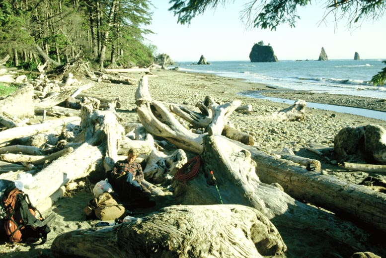 hiking Washington wilderness coast, Washington State Pacific beaches, hiking Washington's west coast beaches, hiking Washington State's Pacific shoreline, Quileute Indians, Makah Indians, First Beach, Second Beach, Third Beach, Neah Bay, Cape Alava, Ozette, Hoh River, Shi Shi Beach, Point of the Arches, John Hessburg, Robert Buffington Shaw, Bonz