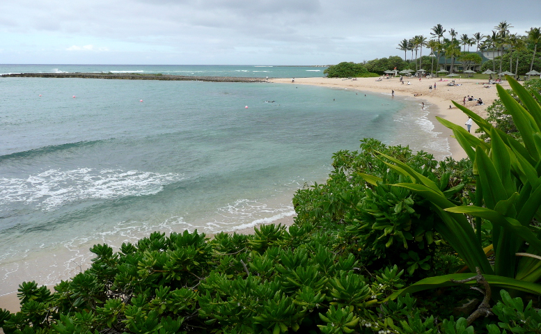 Complete pro bios of U.S. Dive Travel owners, Susan Hessburg + John Hessburg.